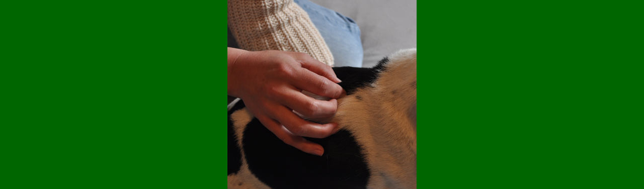 Kontakt – Tierarztpraxis für Osteopathie