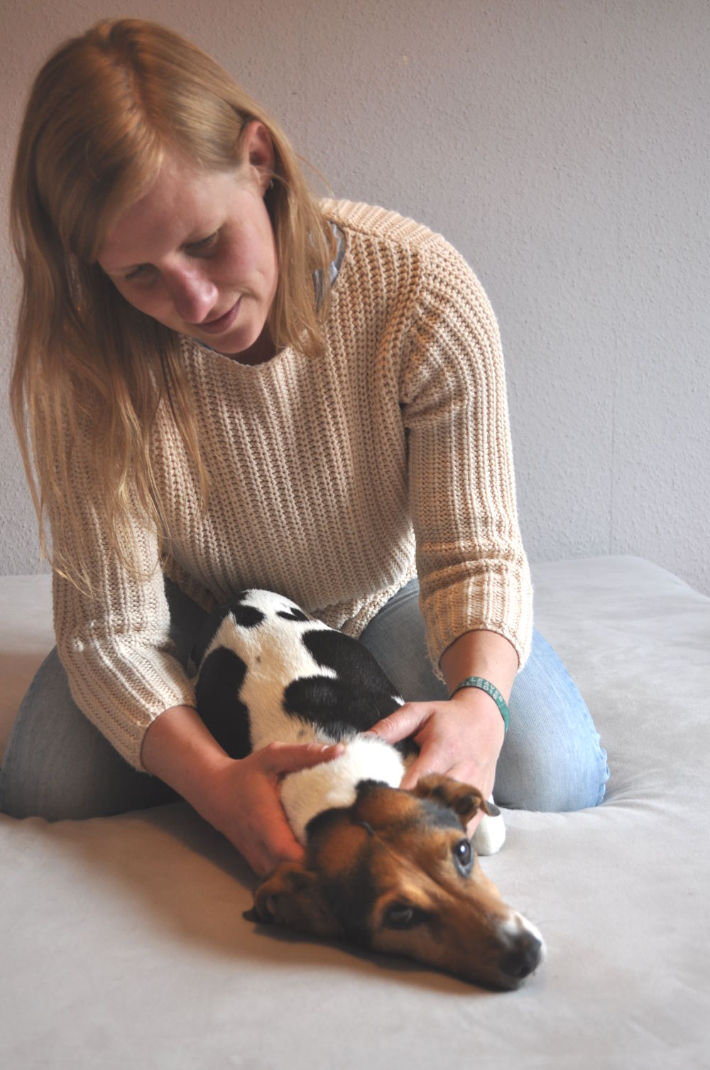 Tierärztliche Leistungen